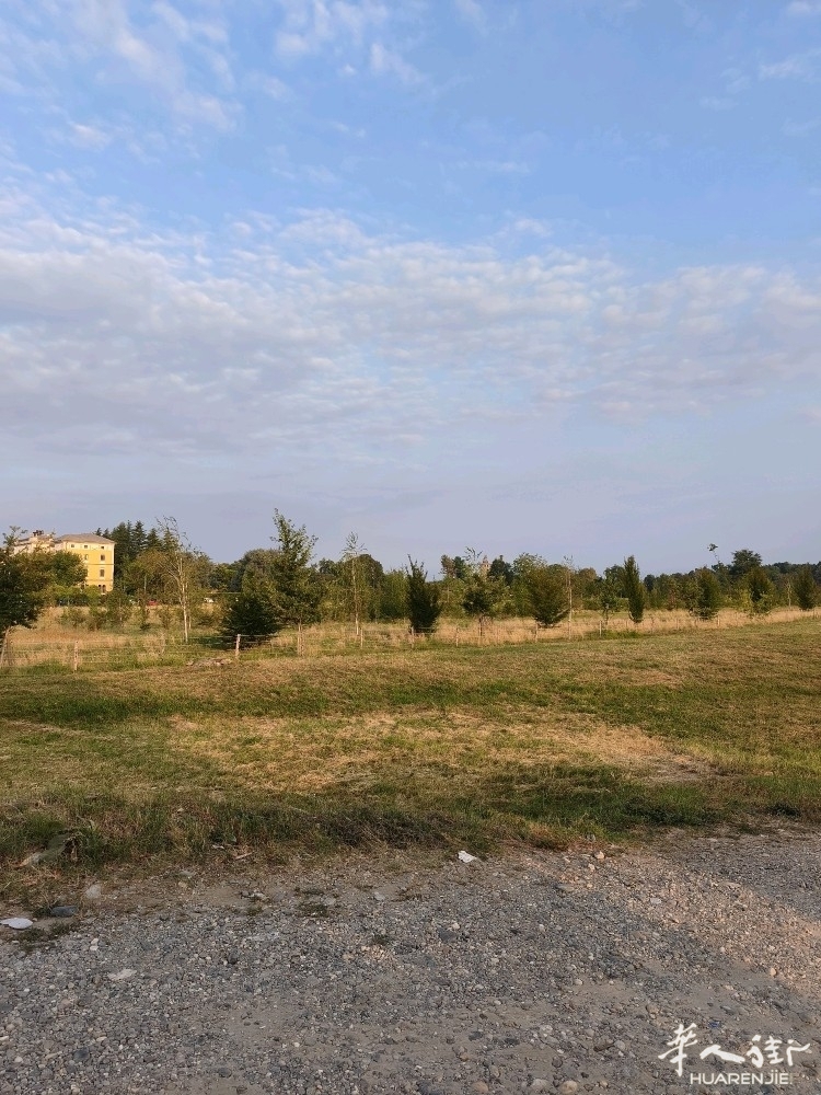 picture.jpg
