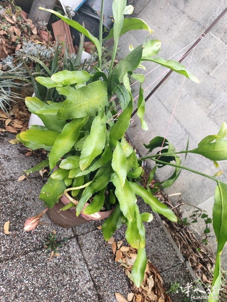 picture.jpg