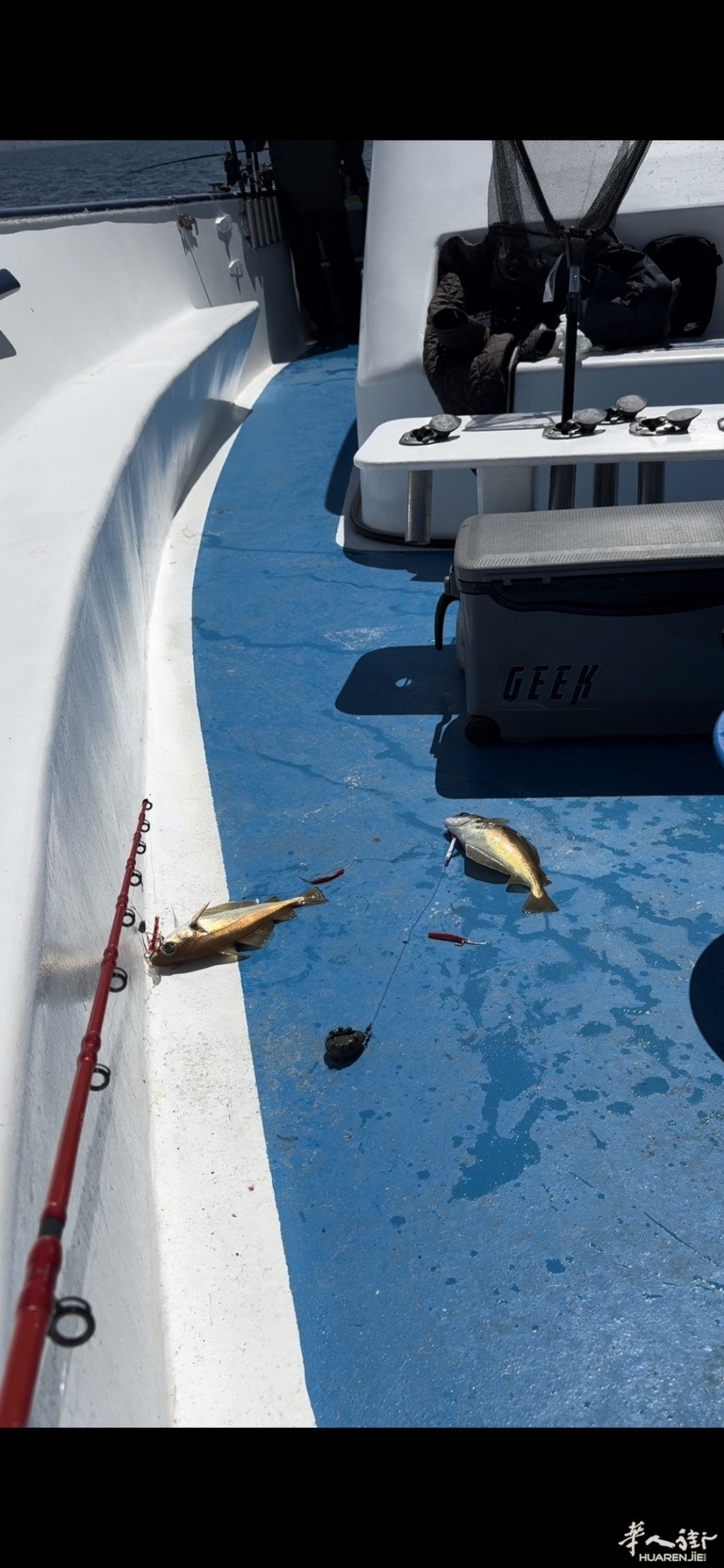 image_123655411.JPG