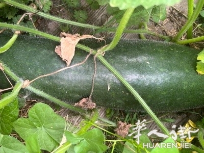 picture.jpg