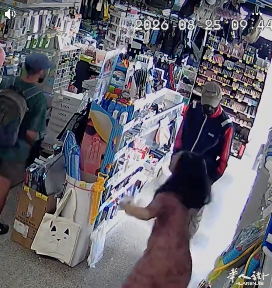 Altro screenshot del video delle telecamere durante il furto nel bazar della rot.png