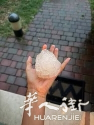 picture.jpg
