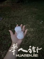 picture.jpg