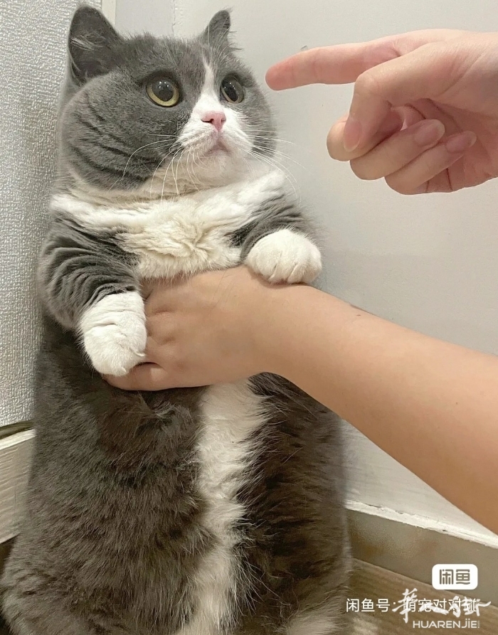 picture.jpg