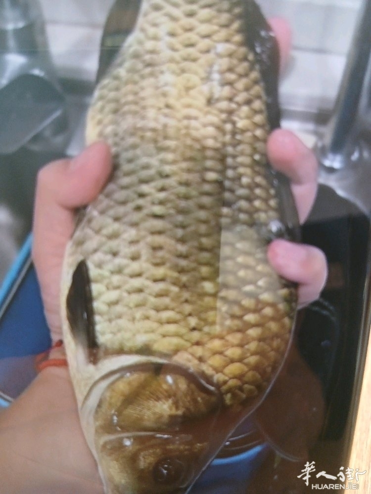 picture.jpg