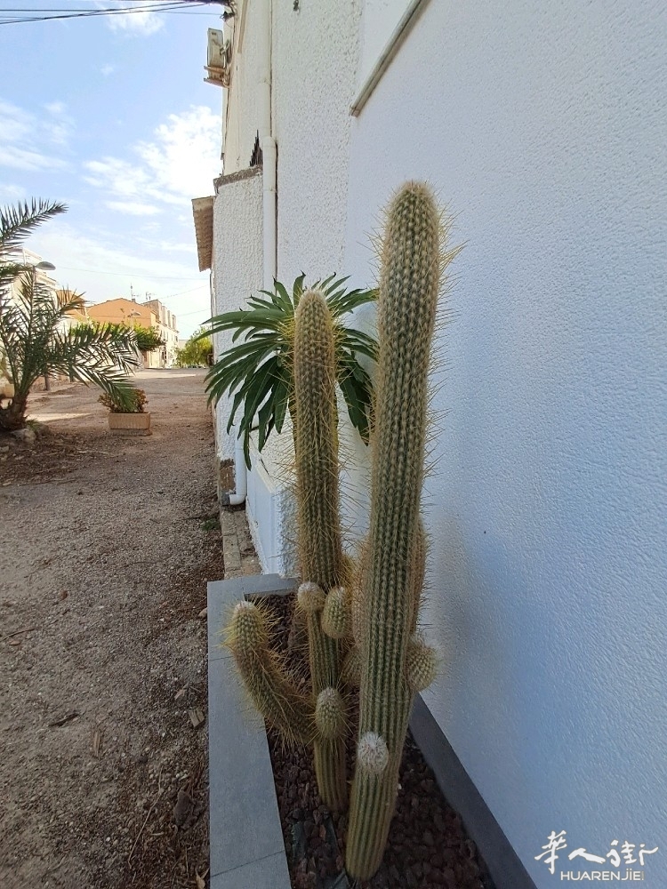 picture.jpg