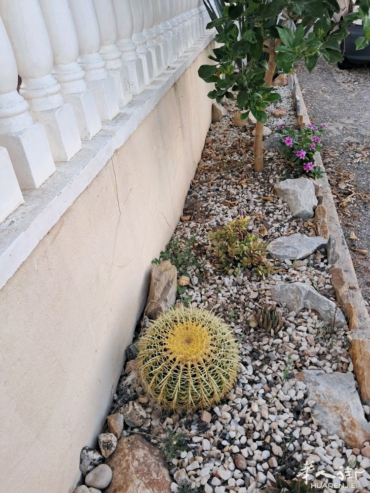 picture.jpg