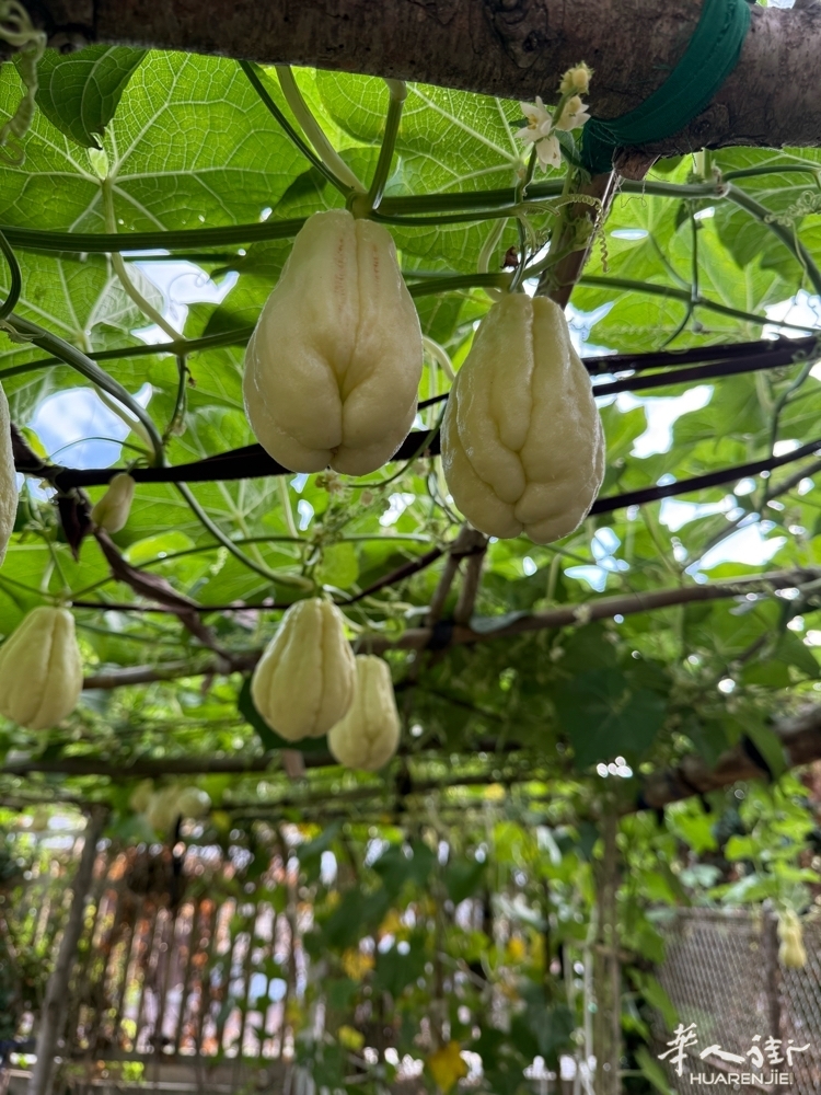 picture.jpg