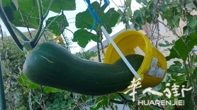 picture.jpg