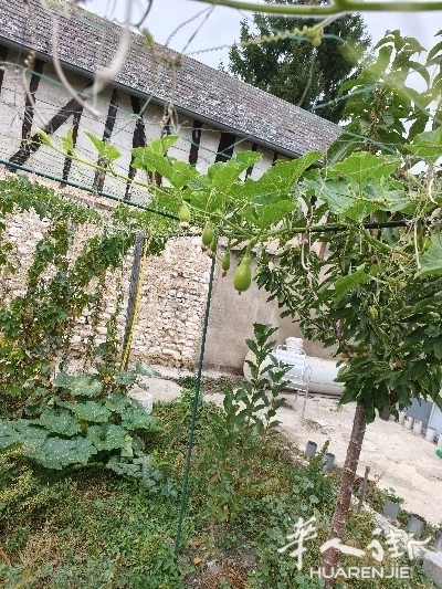 picture.jpg