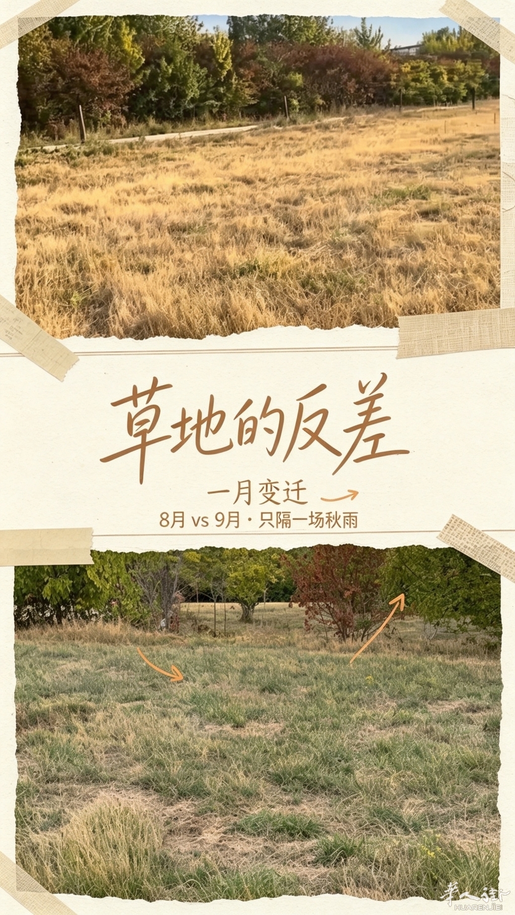 8月枯黄→9月泛绿，只隔一场雨｜巴黎草地的夏眠?-封面.jpg