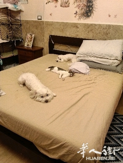 picture.jpg