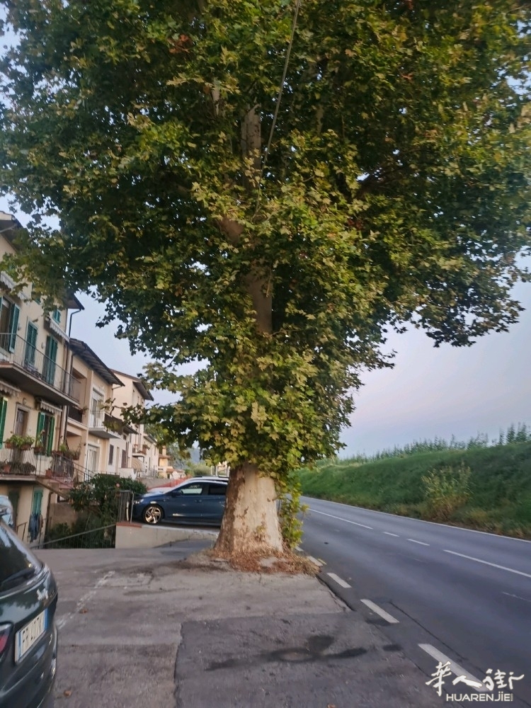 picture.jpg