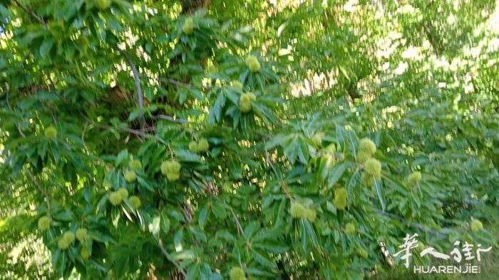 picture.jpg