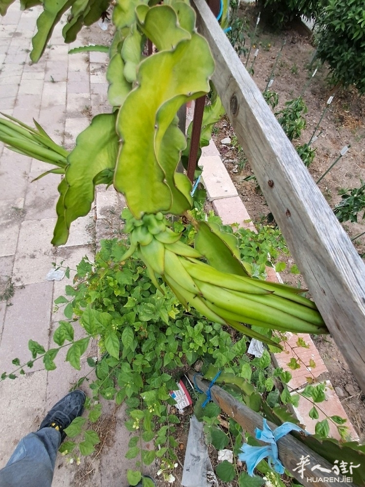 picture.jpg