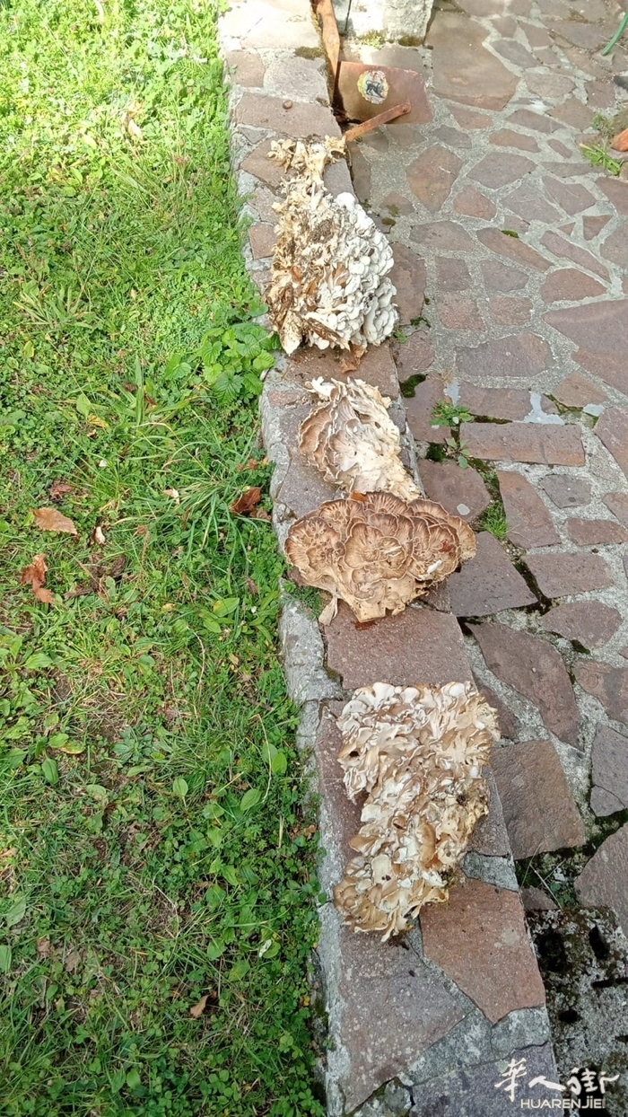 picture.jpg