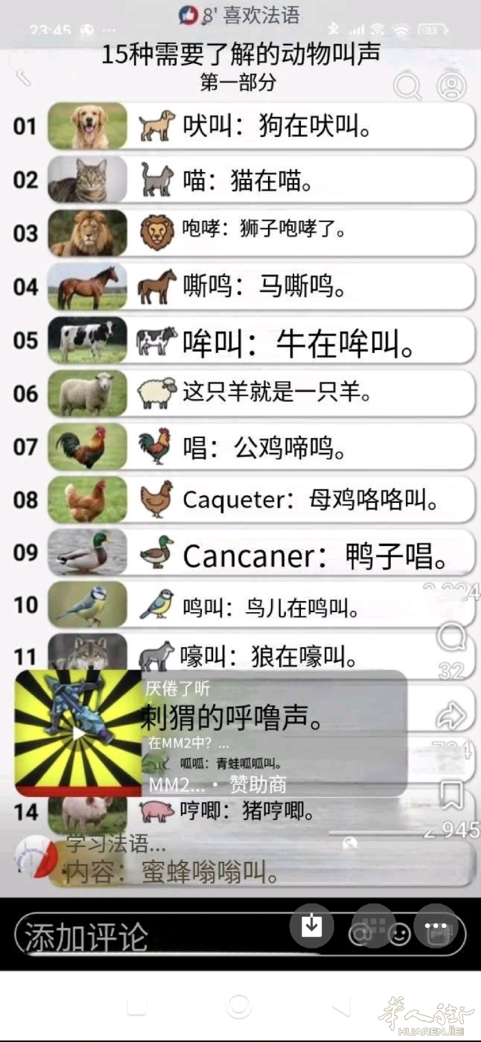 picture.jpg