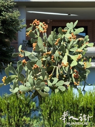 picture.jpg