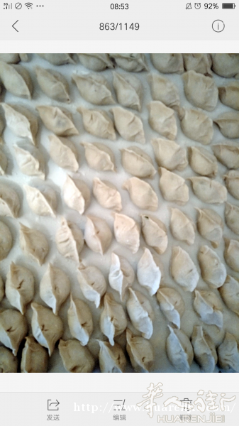 潘阿姨正宗纯手工速冻水饺 0640508554