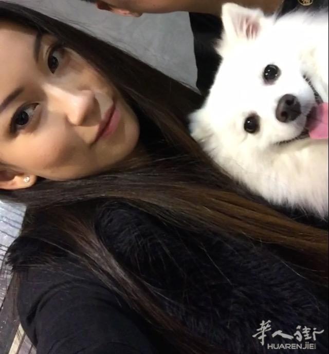 狗狗被拐卖 URGENT