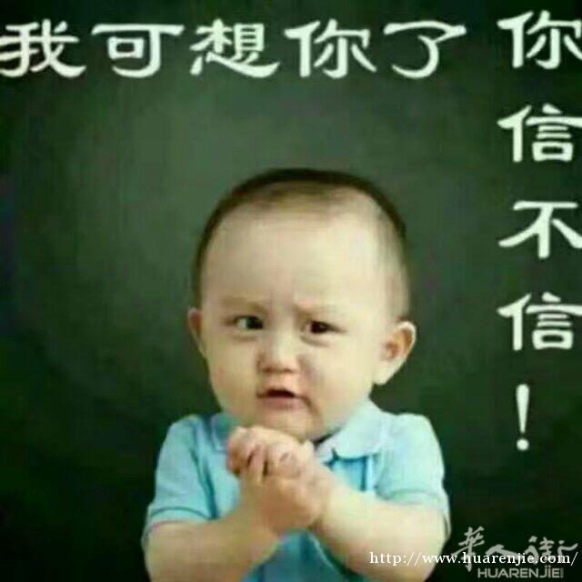 求租 maciachini一带
