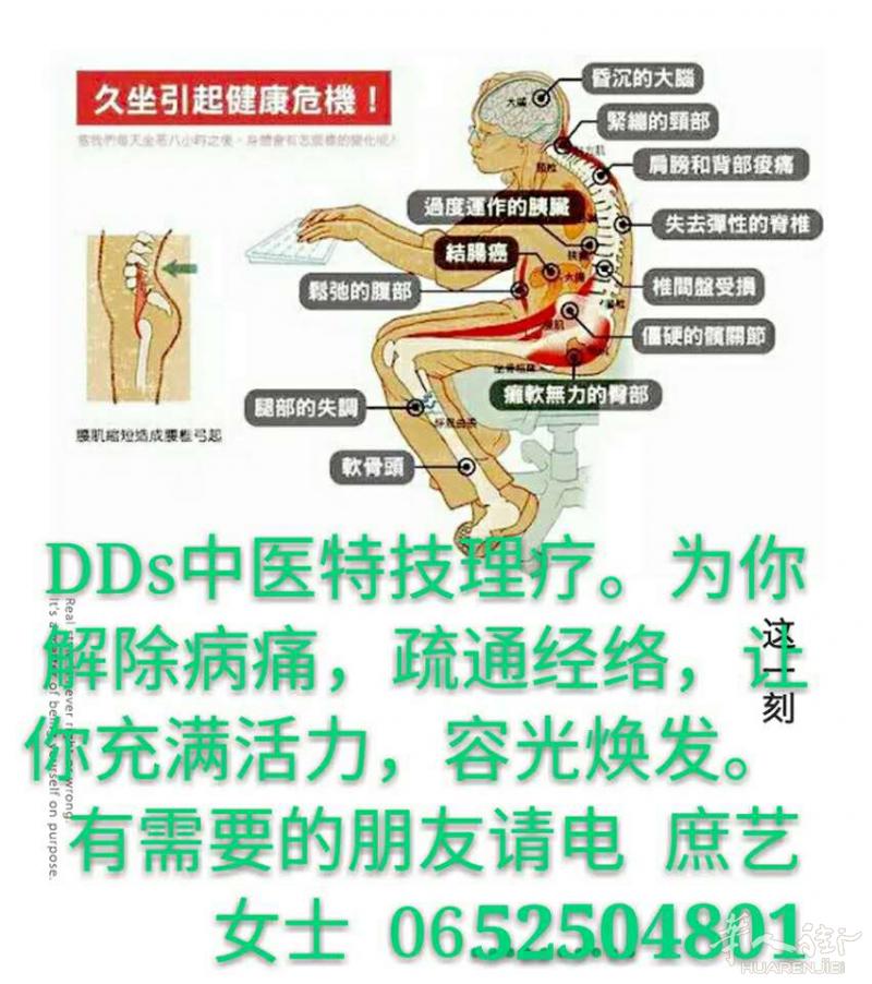 生物电经络按摩