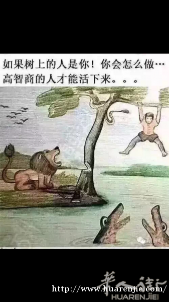 求租居留