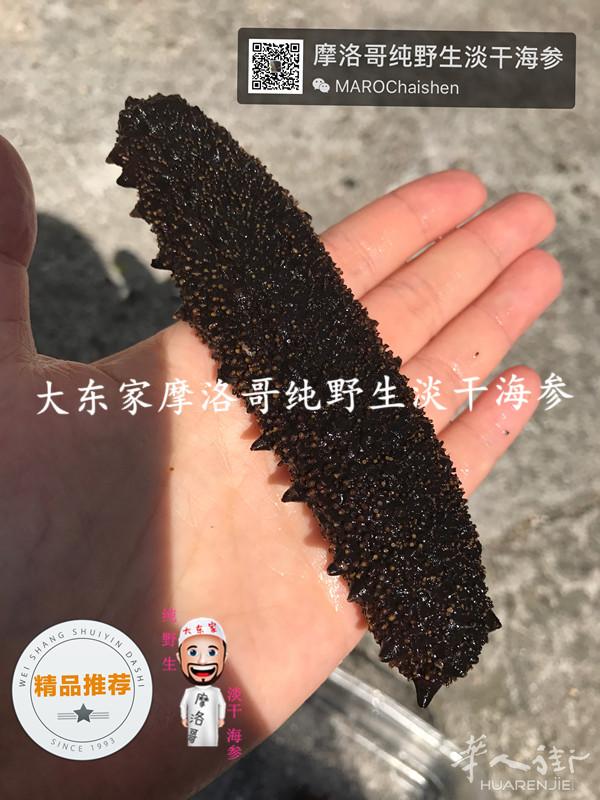 摩洛哥纯野生淡干海参刺参