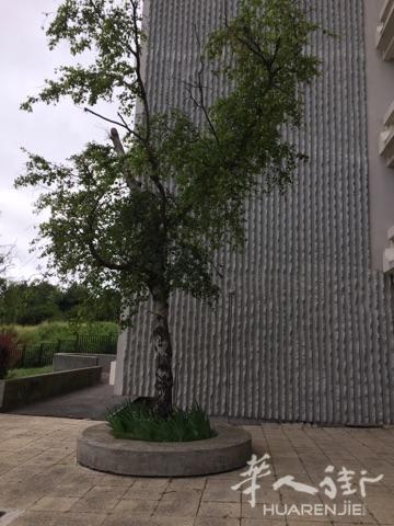 Gallieni 有房屋75平出售cave+parking+balcon