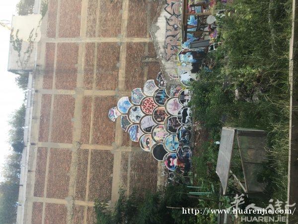 金星建筑装修公司
