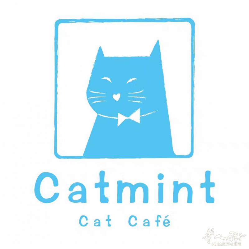Catmint Cat Café温馨可爱的猫主题咖啡馆