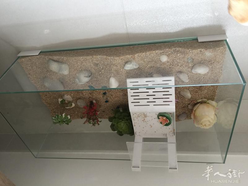 乌龟缸出售
