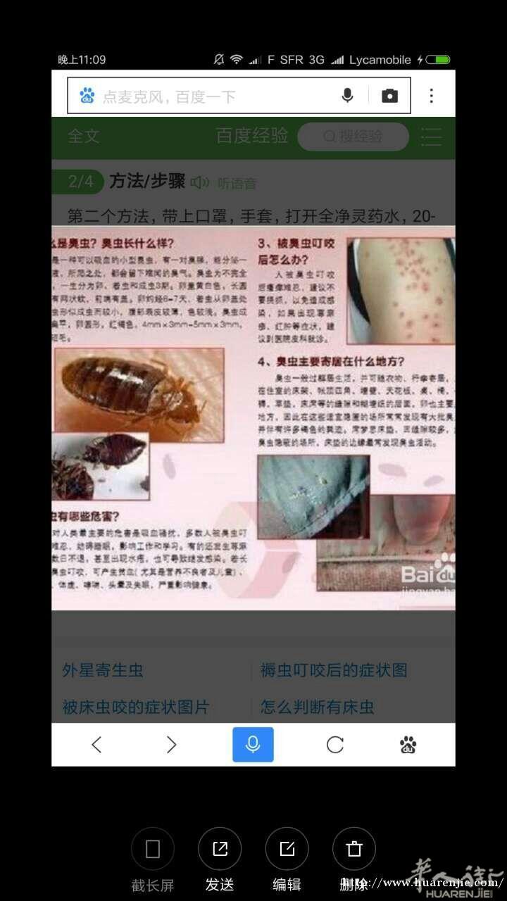 出售高浓缩臭虫剂和药粉