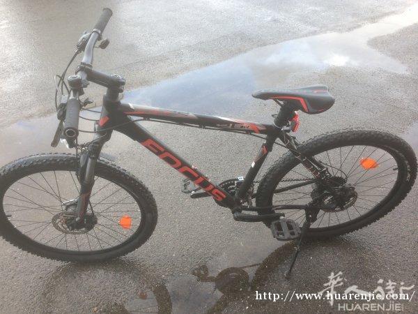 转让高端自行车德国品牌FOCUS (福克斯) 自行车