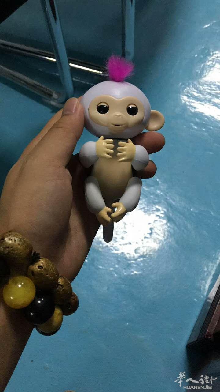 节假日新款的产品，圣诞节的礼物 会动的会叫的小猴
