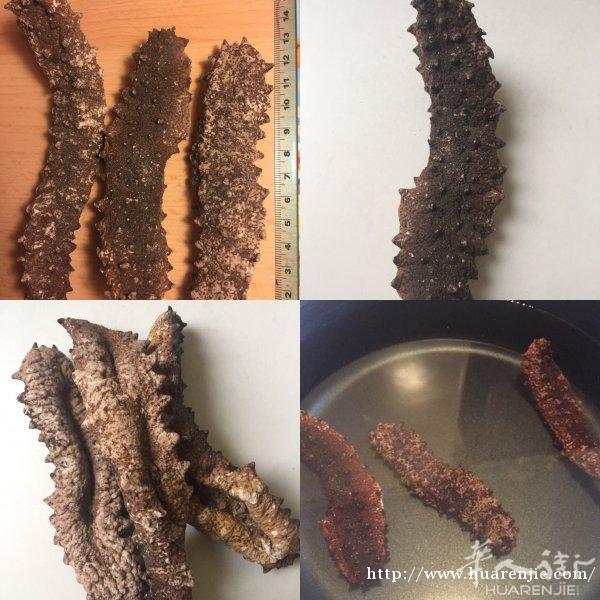 葡萄牙野生大刺参 巴黎现货