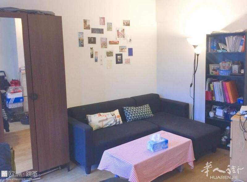 La Defense好房出租 36平+5平阳台+储藏室 家电齐全 中央暖气 无中介费