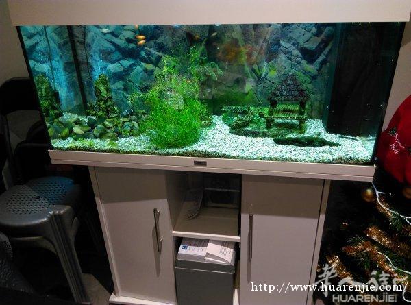 180L鱼缸连家具