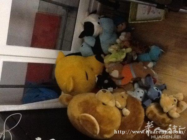 卖羊宝宝全部一大堆€15而已，0751280520