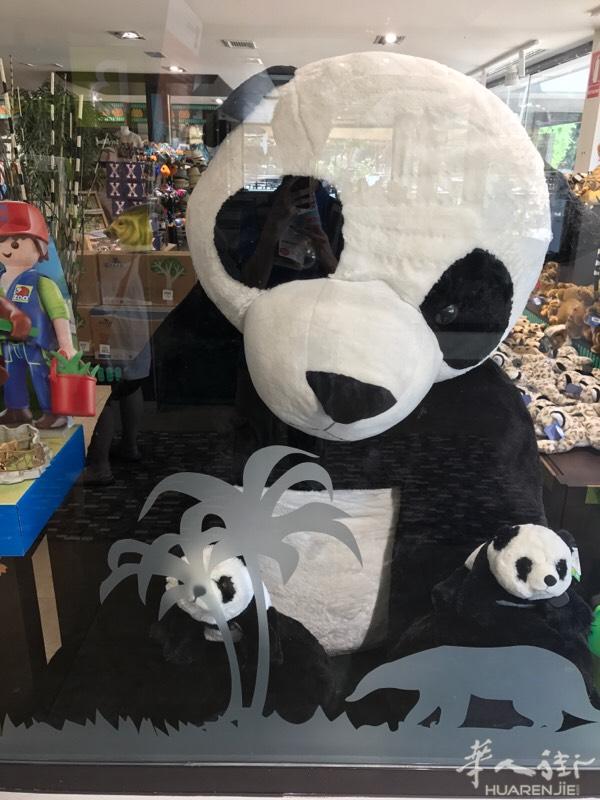 西班牙马德里 男 31 诚心找一个18-33之间，
