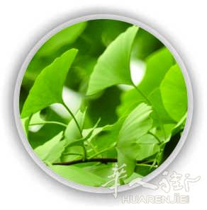 中药提取物供应
