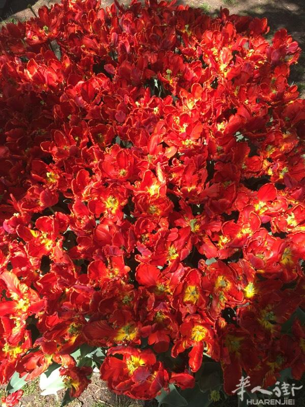 【图】招老外货布衣车工 - 意大利普拉托工厂\/