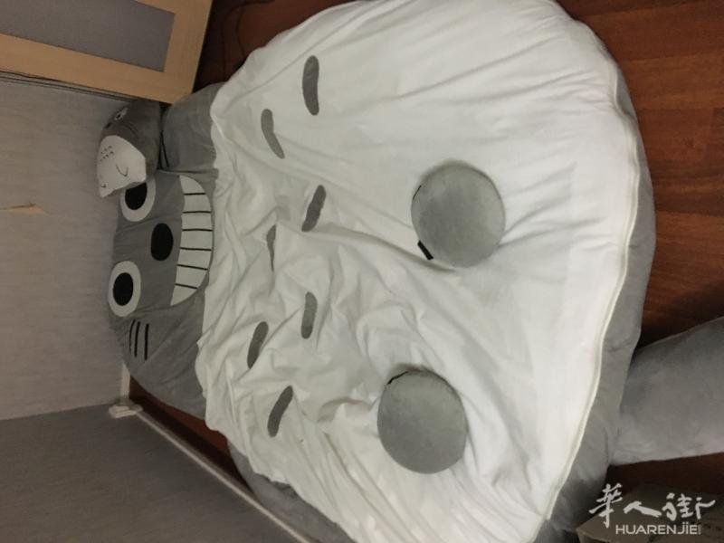 龙猫的榻榻米