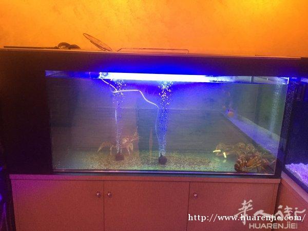 出售大型碎冰机、养龙虾的水族箱