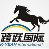 【跨跃国际货运】全欧洲货品至大陆包税包清关包派送