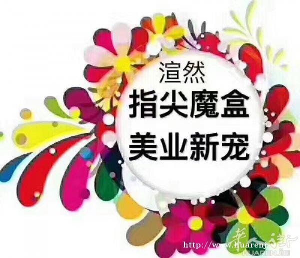 199元2套装（不同款）共48片。一套24片，做一双手剩余的甲片还可以做脚，当4套用，最主要的不是一次性的，它可以反复使用哦！有意向可以进我的二维码，欢迎光临惠