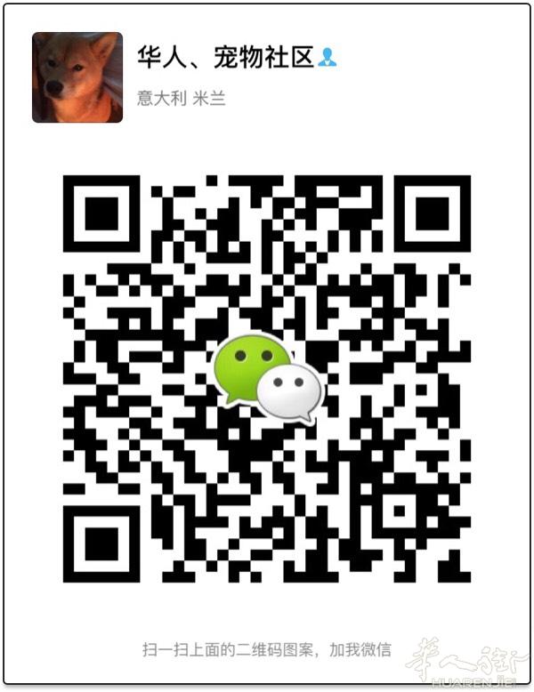 边境牧羊犬
公母 两个月 
带血统证