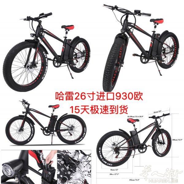中国式电动自行车出售