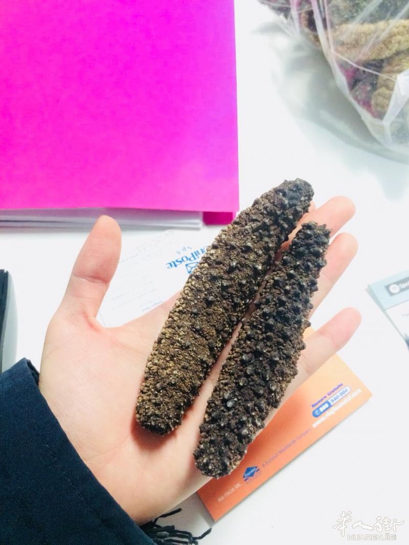 野生地中海刺参/海参 质量优，欢迎问价