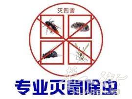 政府认可的灭鼠除虫公司 , 中文联系电话 0695138888